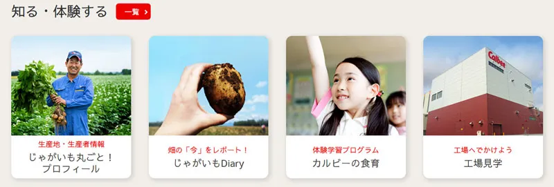 022 カルビー　きら星にそら猫 | Webサイト100選