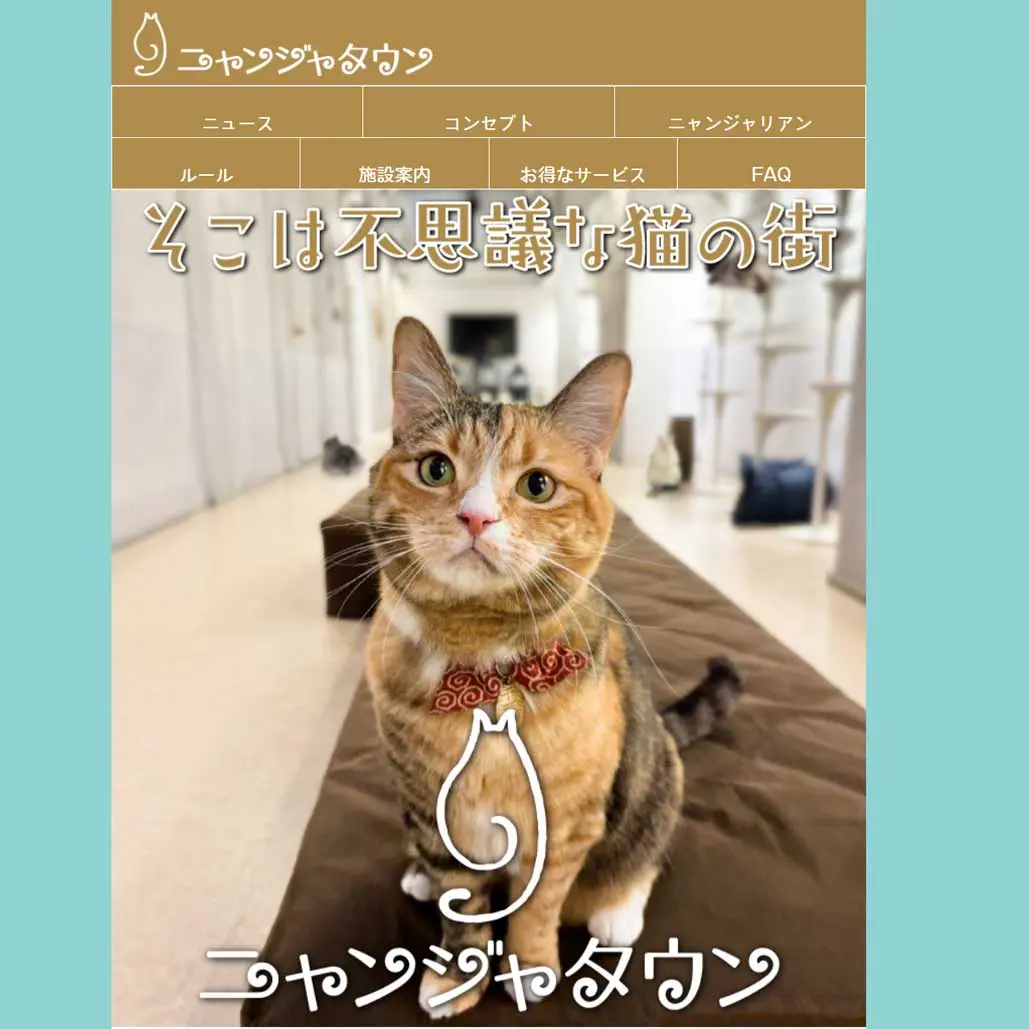 007 ニャンジャタウン