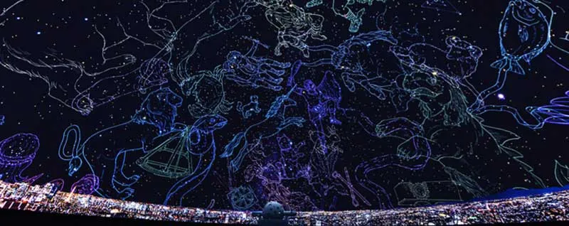 020 渋谷区文化総合センター大和田　きら星にそら猫 | Webサイト100選