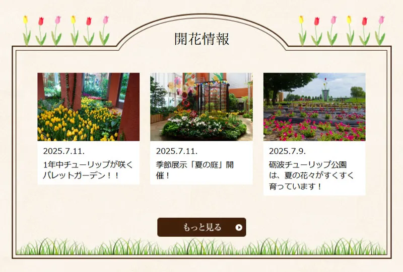 025 チューリップ四季彩館　きら星にそら猫 | Webサイト100選