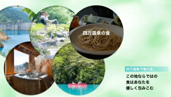 048 SHIN湯治　きら星にそら猫 | Webサイト100選