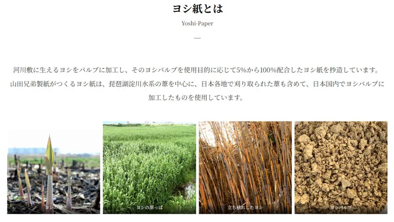 044 山田兄弟製紙 きら星にそら猫 | Webサイト100選
