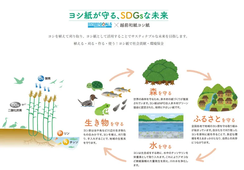 044 山田兄弟製紙 きら星にそら猫 | Webサイト100選