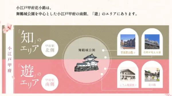 067 小江戸甲府花小路　きら星にそら猫 | Webサイト100選
