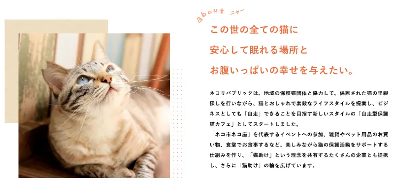 092 ネコリパブリック　きら星にそら猫 | Webサイト100選