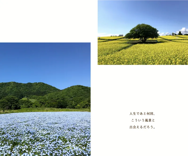 093 やくらいガーデン　ガーデンの景色とキャッチーなコピー